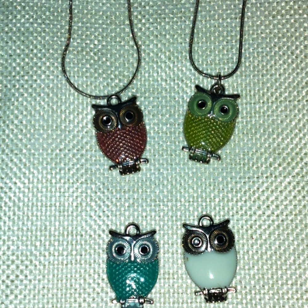 2 Pretty owl necklaces.